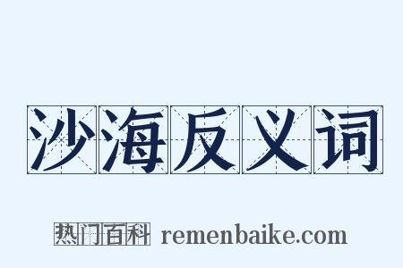 沙海反义词是什么意思的图片